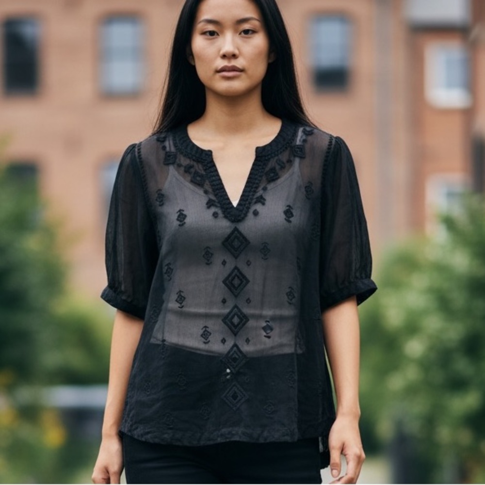 Embroidered Black Sheer Chiffon Top Boxy Fit Fairy Grunge Festival Whimsical